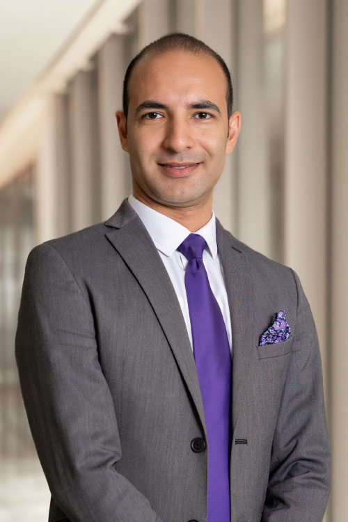 Hossam Elsafoury